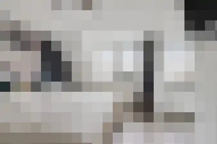 de Plataan 90 Didam thumbnail 20