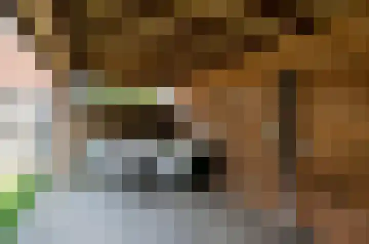 de Plataan 93 Didam thumbnail 12