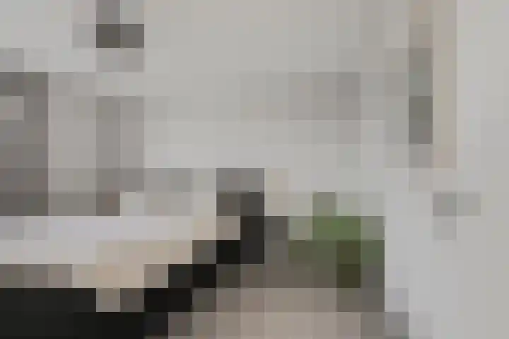 de Plataan 93 Didam thumbnail 15