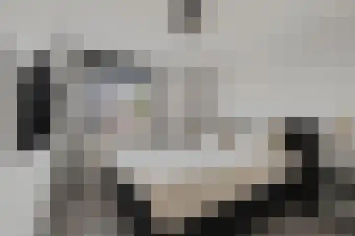 de Plataan 93 Didam thumbnail 16