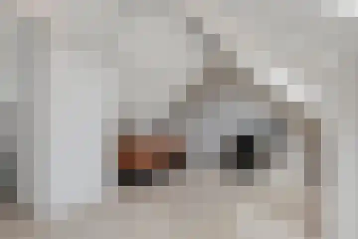 de Plataan 93 Didam thumbnail 22