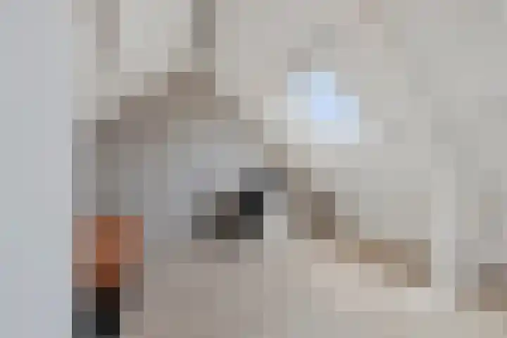 de Plataan 93 Didam thumbnail 23