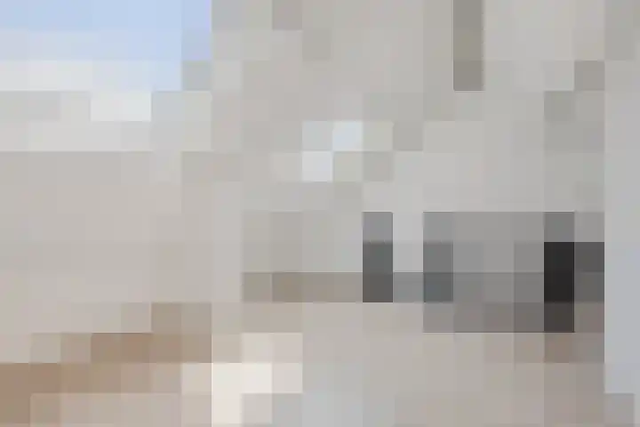 de Plataan 93 Didam thumbnail 24