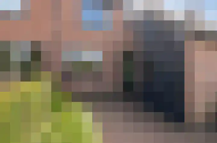 de Plataan 93 Didam thumbnail 25