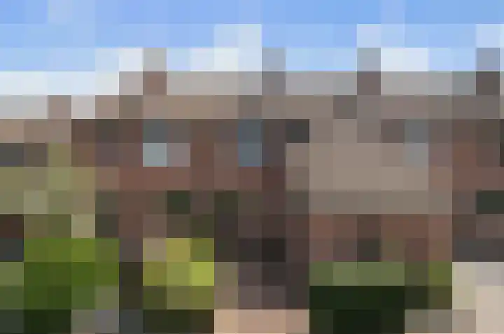 de Plataan 93 Didam thumbnail 26