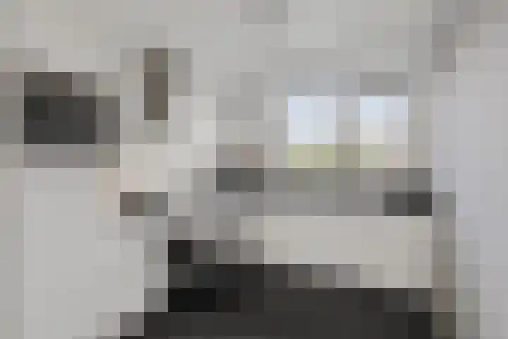 de Plataan 93 Didam thumbnail 8