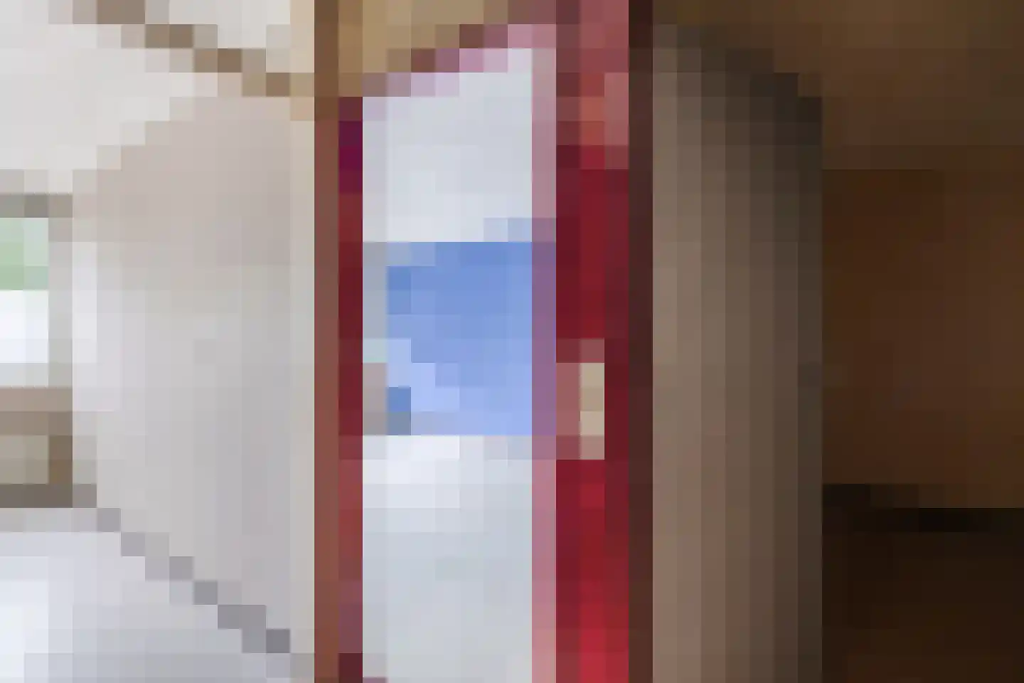 De Platanen 10 Vroomshoop thumbnail 14
