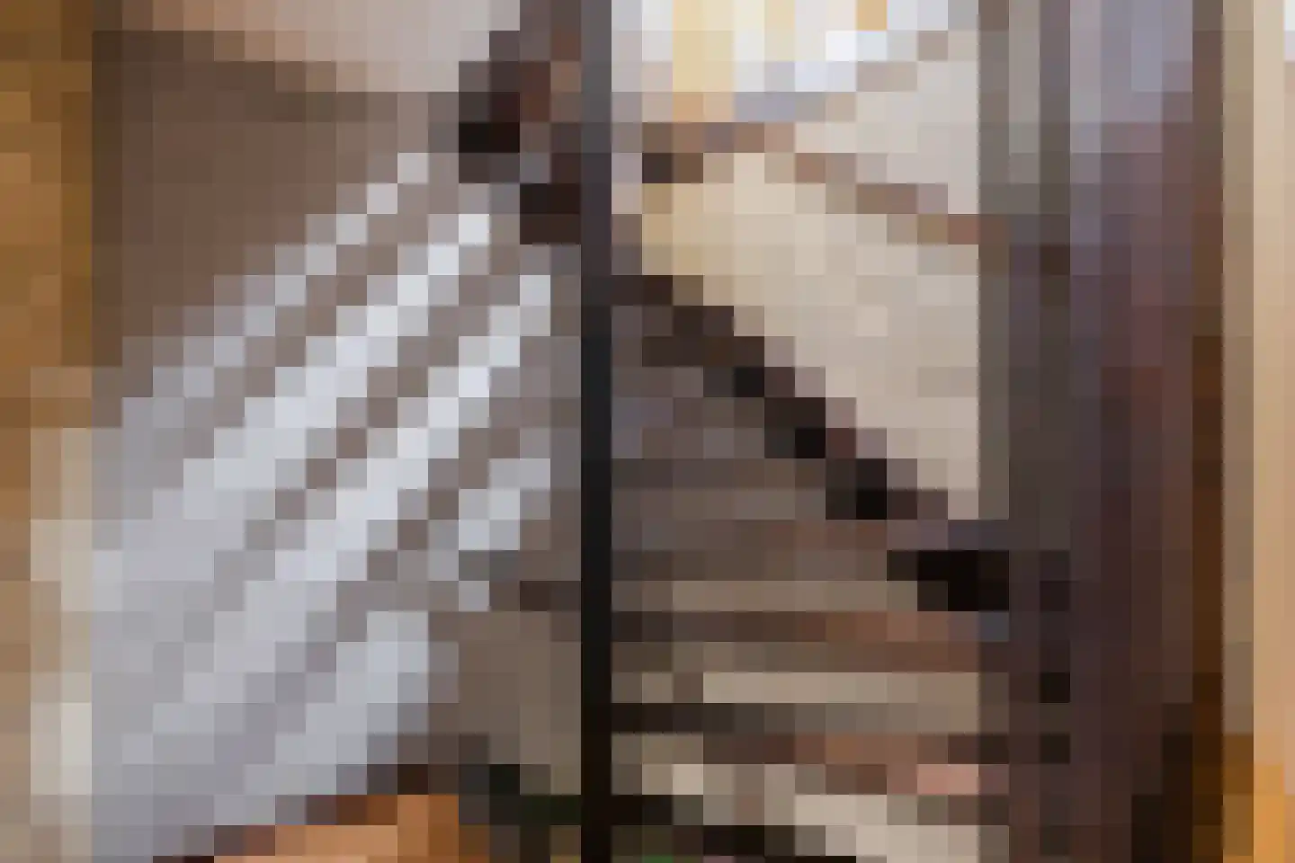 De Platanen 10 Vroomshoop thumbnail 15