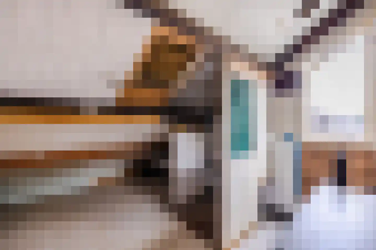 De Platanen 10 Vroomshoop thumbnail 17