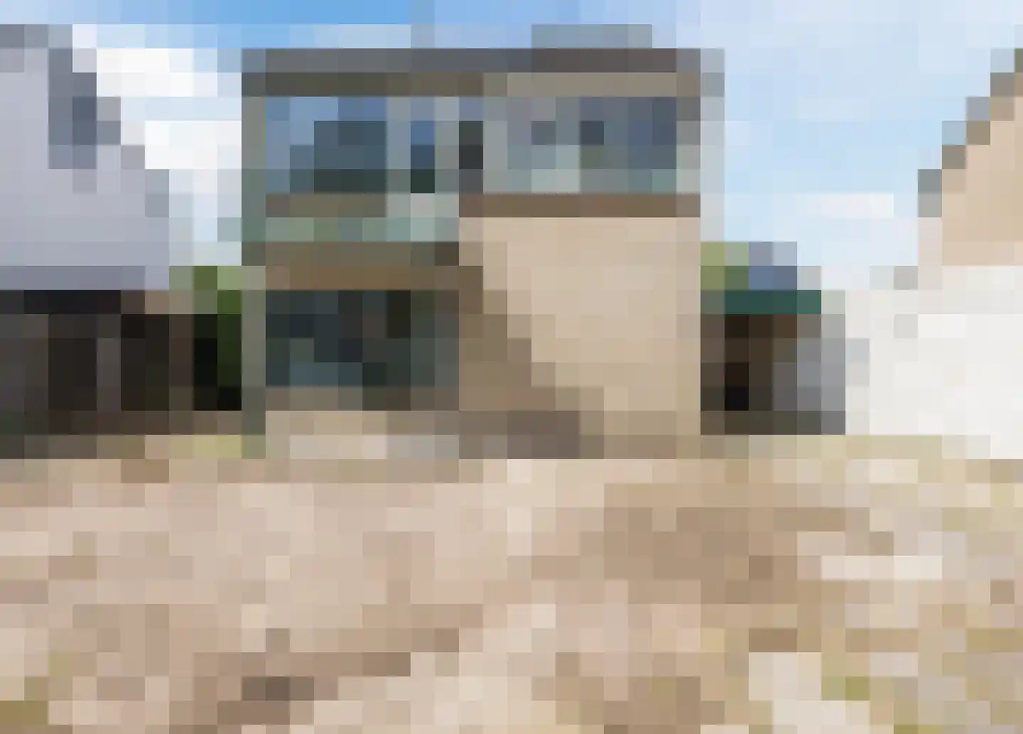 De Platanen 10 Vroomshoop thumbnail 20