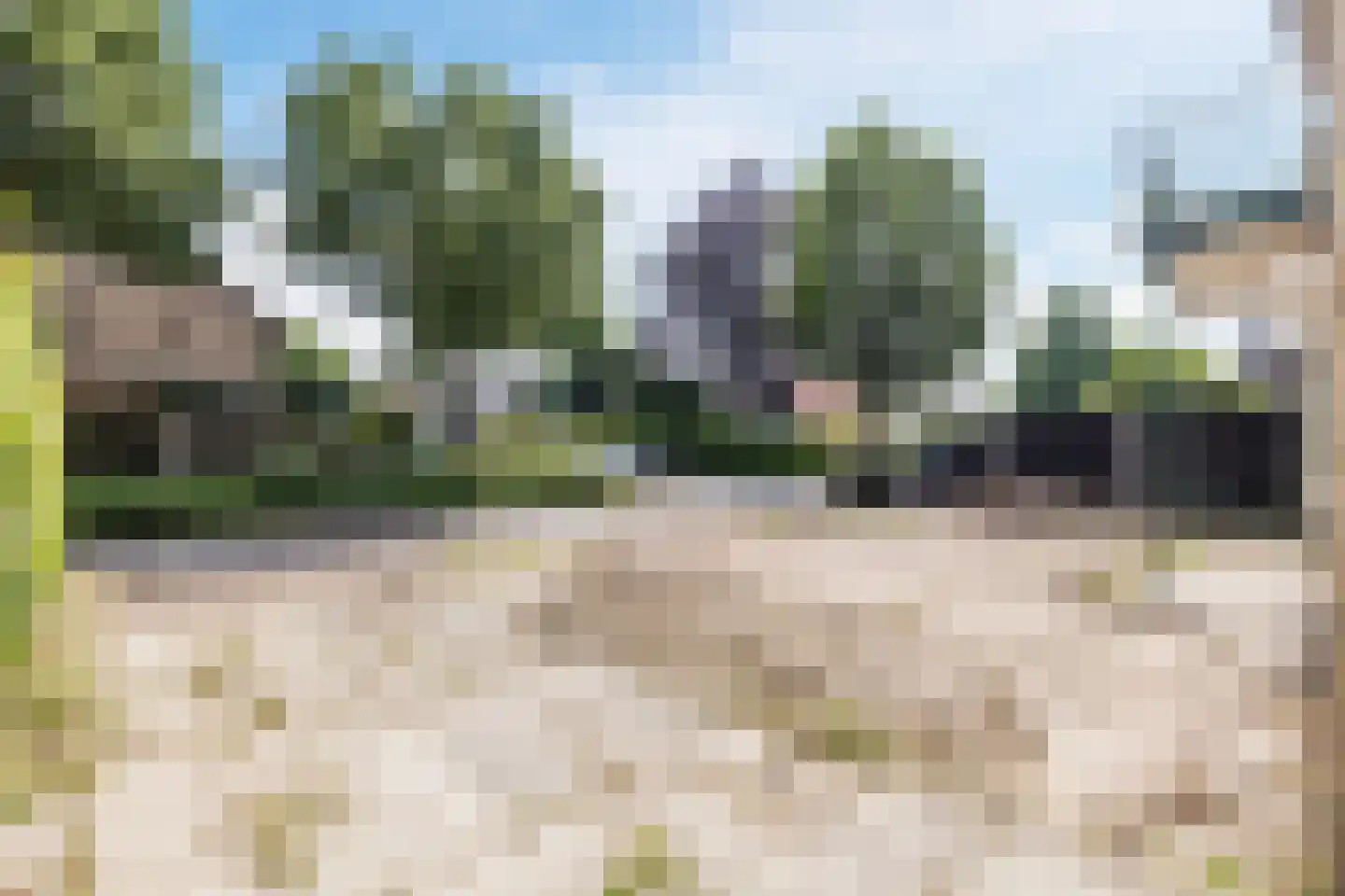 De Platanen 10 Vroomshoop thumbnail 24