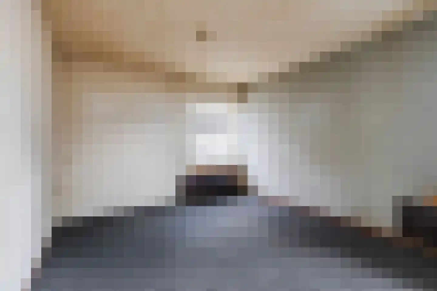 De Platanen 10 Vroomshoop thumbnail 6
