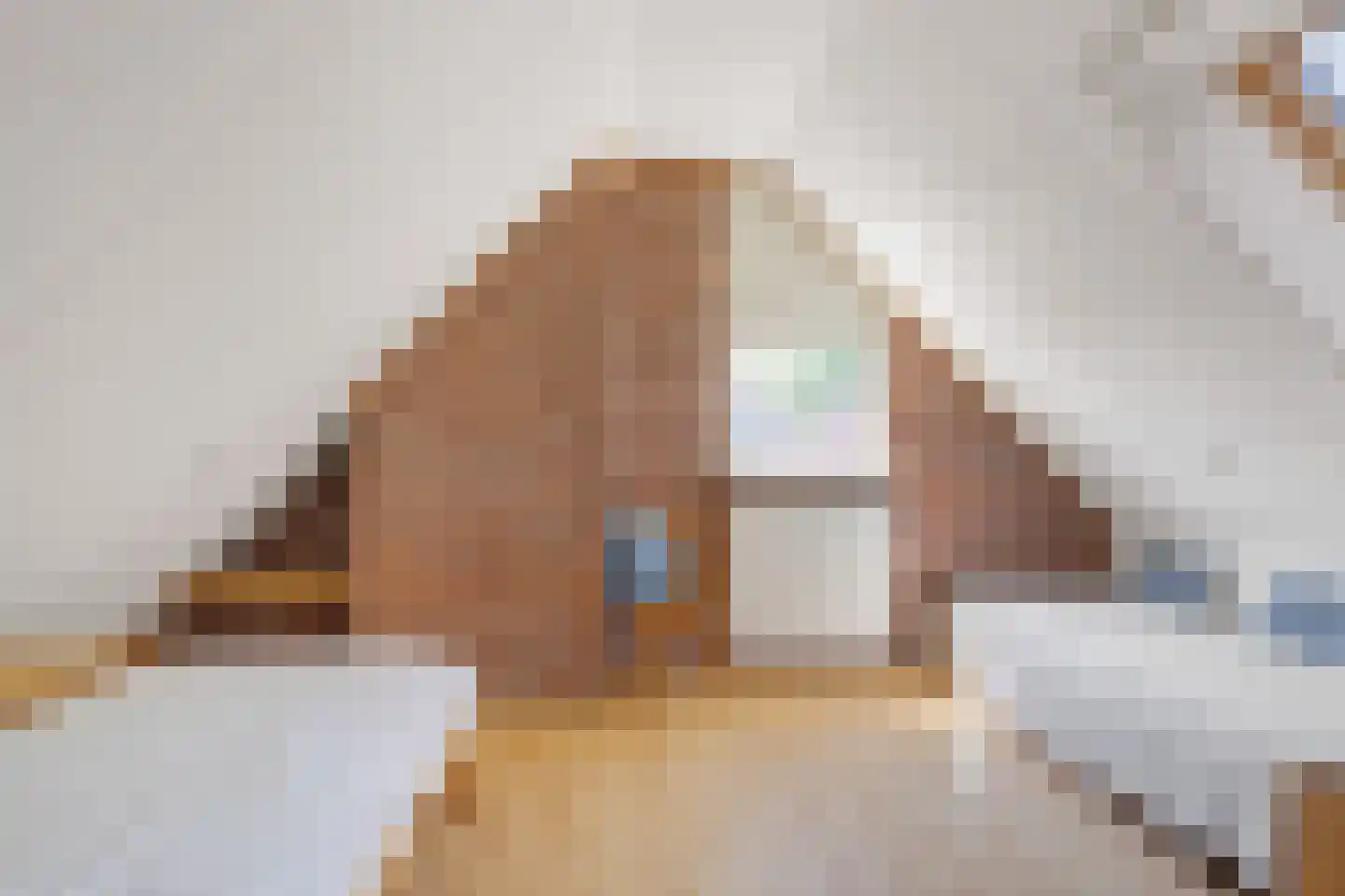 De Platanen 15 Boekel thumbnail 26