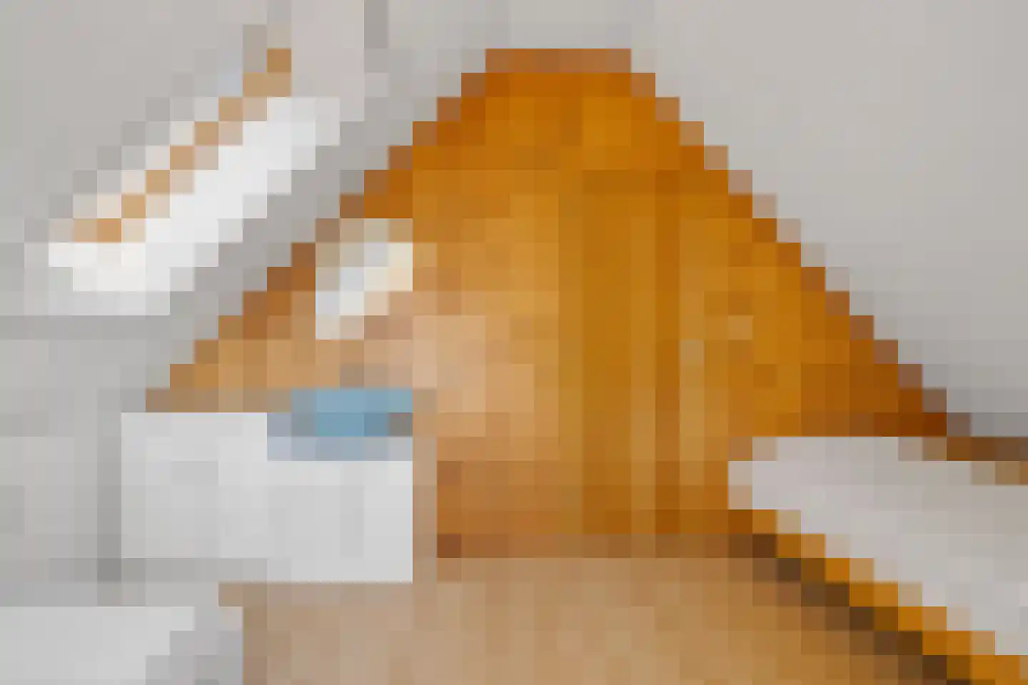 De Platanen 15 Boekel thumbnail 27