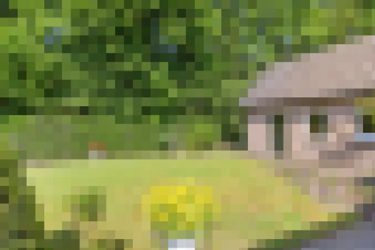 De Platanen 15 Boekel thumbnail 34