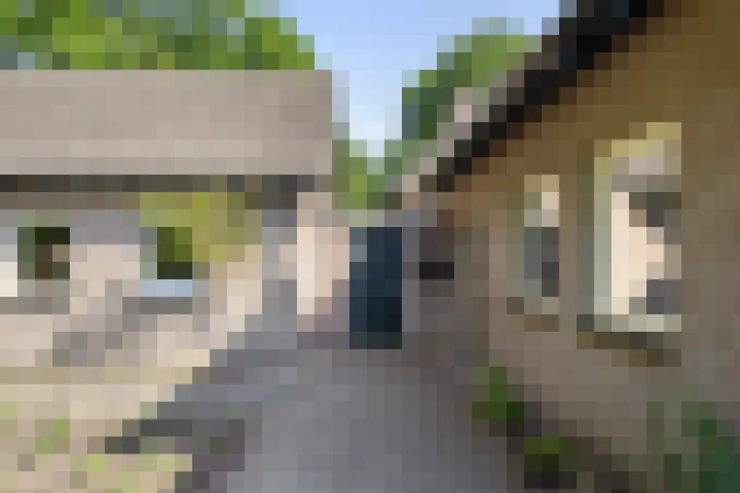 De Platanen 15 Boekel thumbnail 36