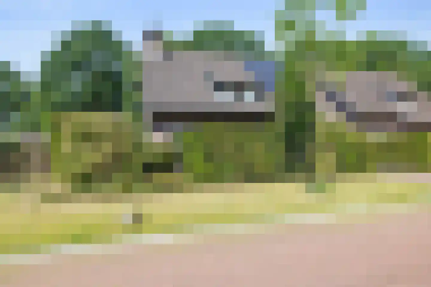 De Platanen 15 Boekel thumbnail 38