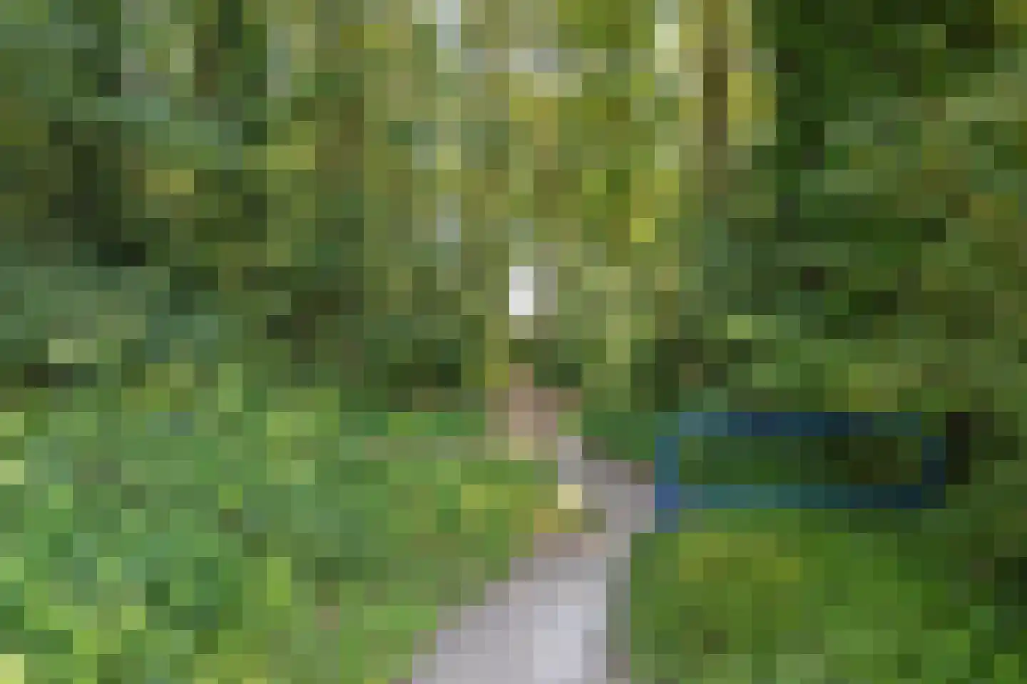De Platanen 15 Boekel thumbnail 41