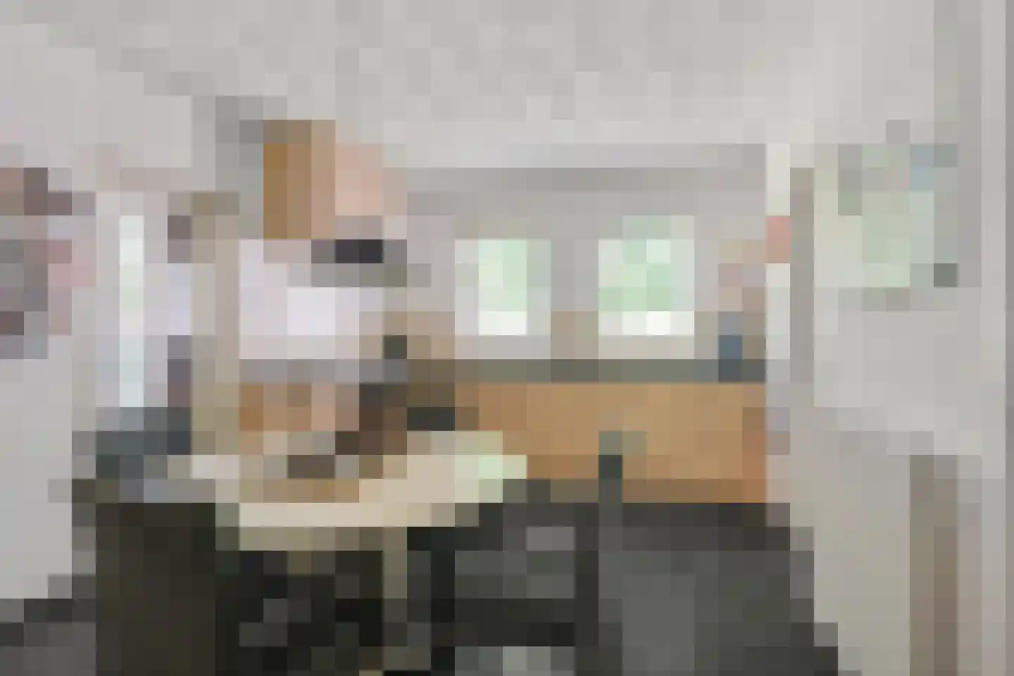 De Platanen 15 Boekel thumbnail 7