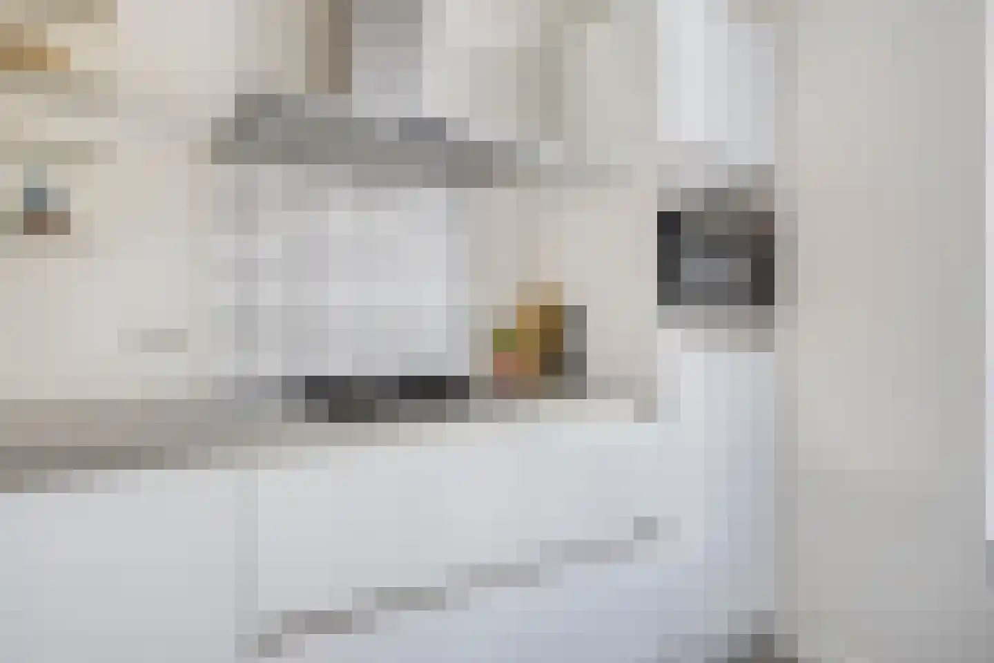 De Platte Kreek 2 Hulst thumbnail 10