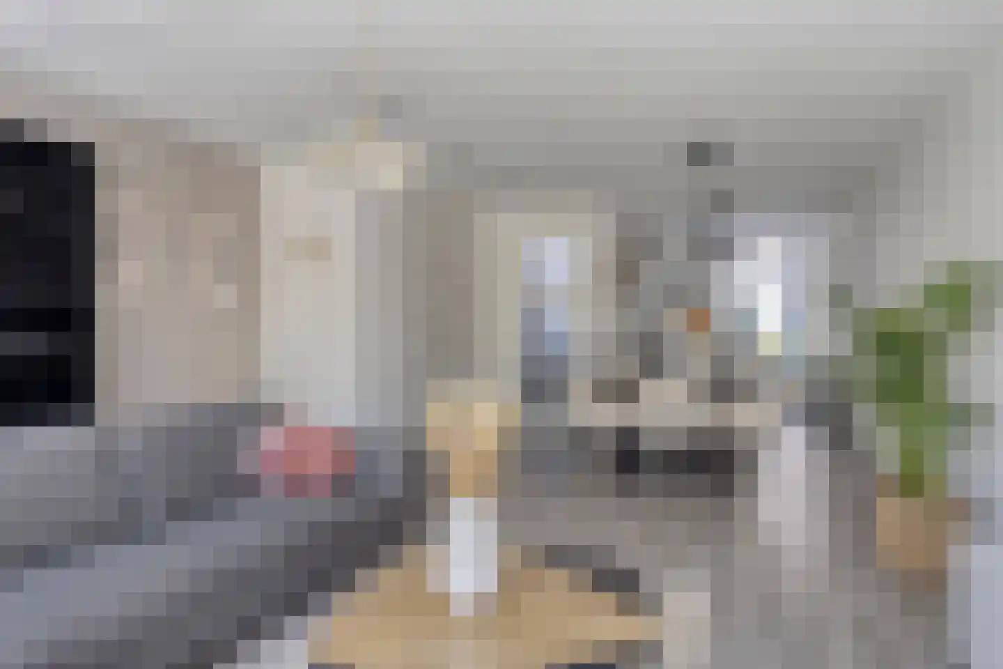De Platte Kreek 2 Hulst thumbnail 11