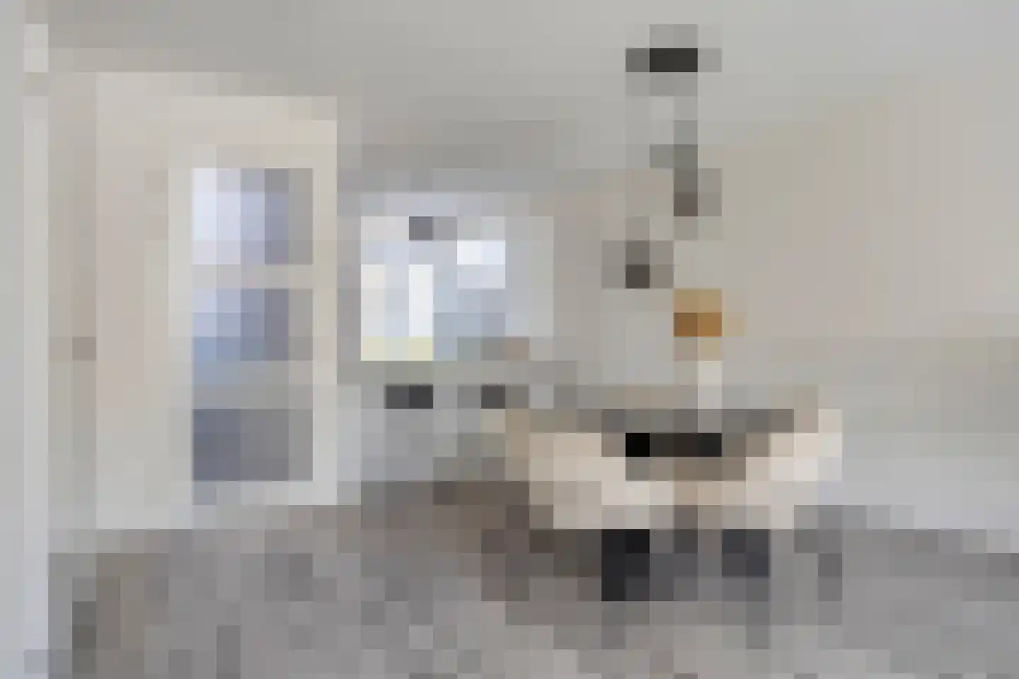 De Platte Kreek 2 Hulst thumbnail 12