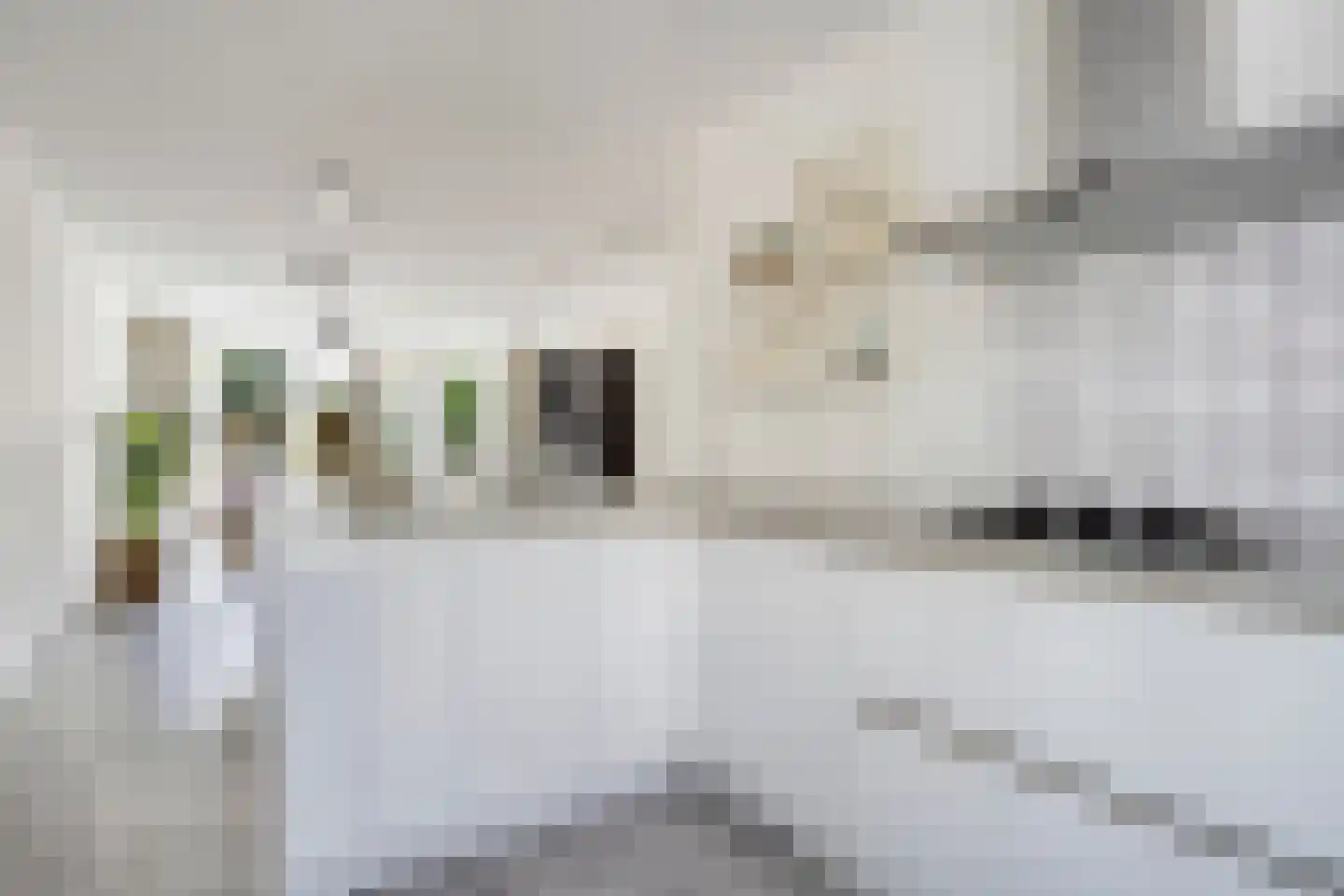 De Platte Kreek 2 Hulst thumbnail 18