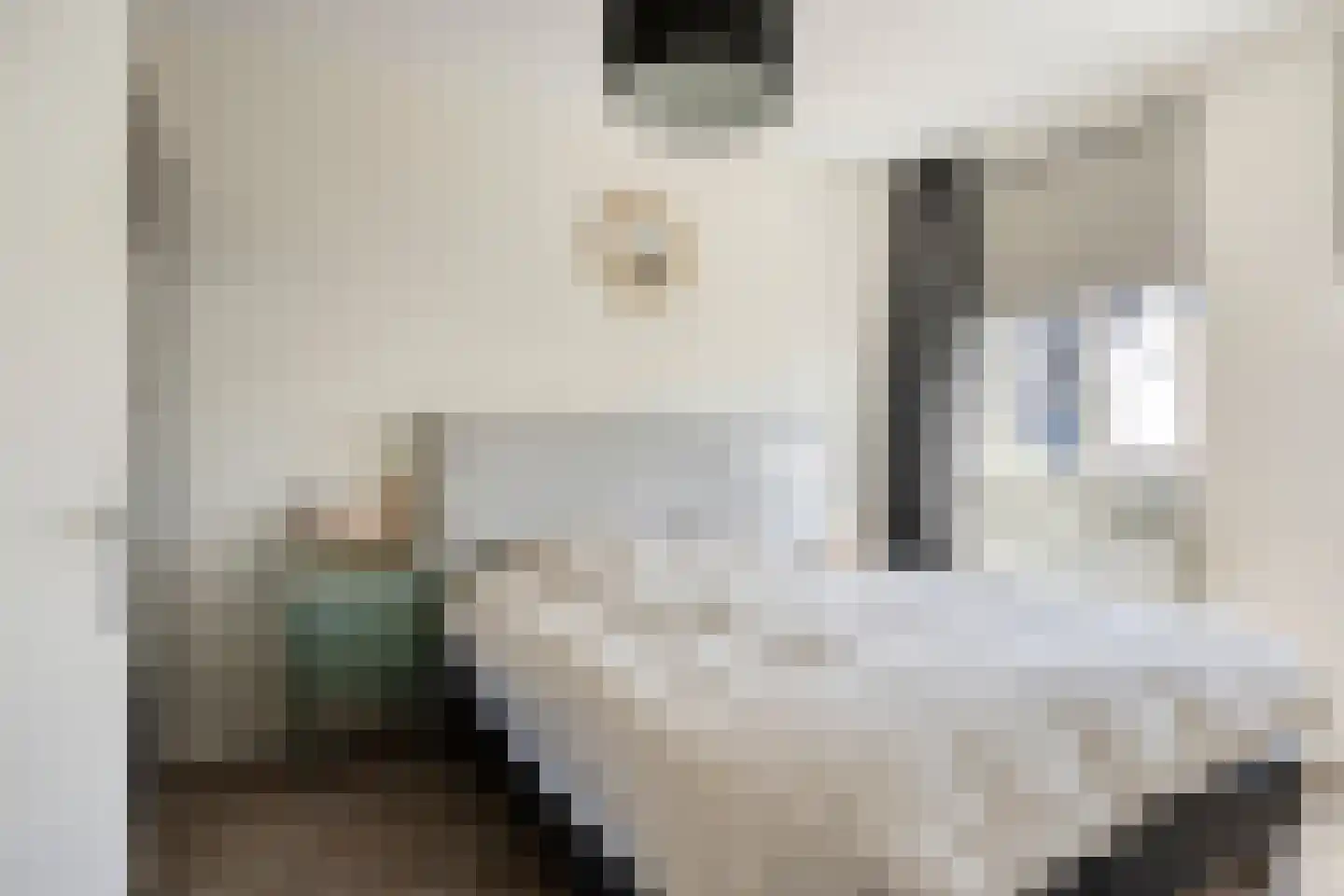 De Platte Kreek 2 Hulst thumbnail 20