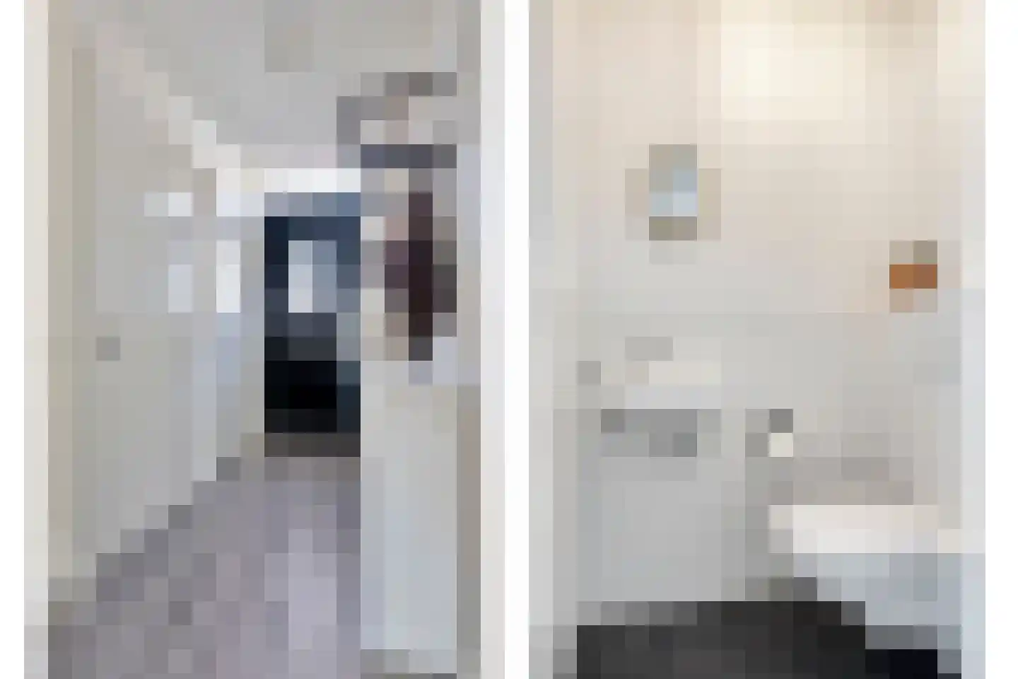 De Platte Kreek 2 Hulst thumbnail 7