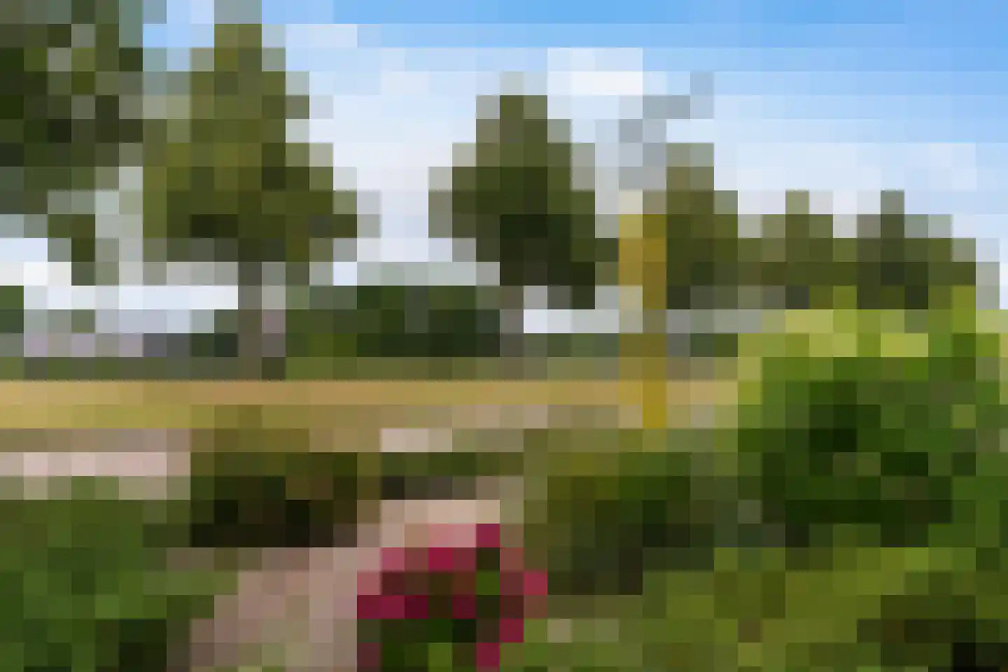 de Pleats 42 Goutum thumbnail 11