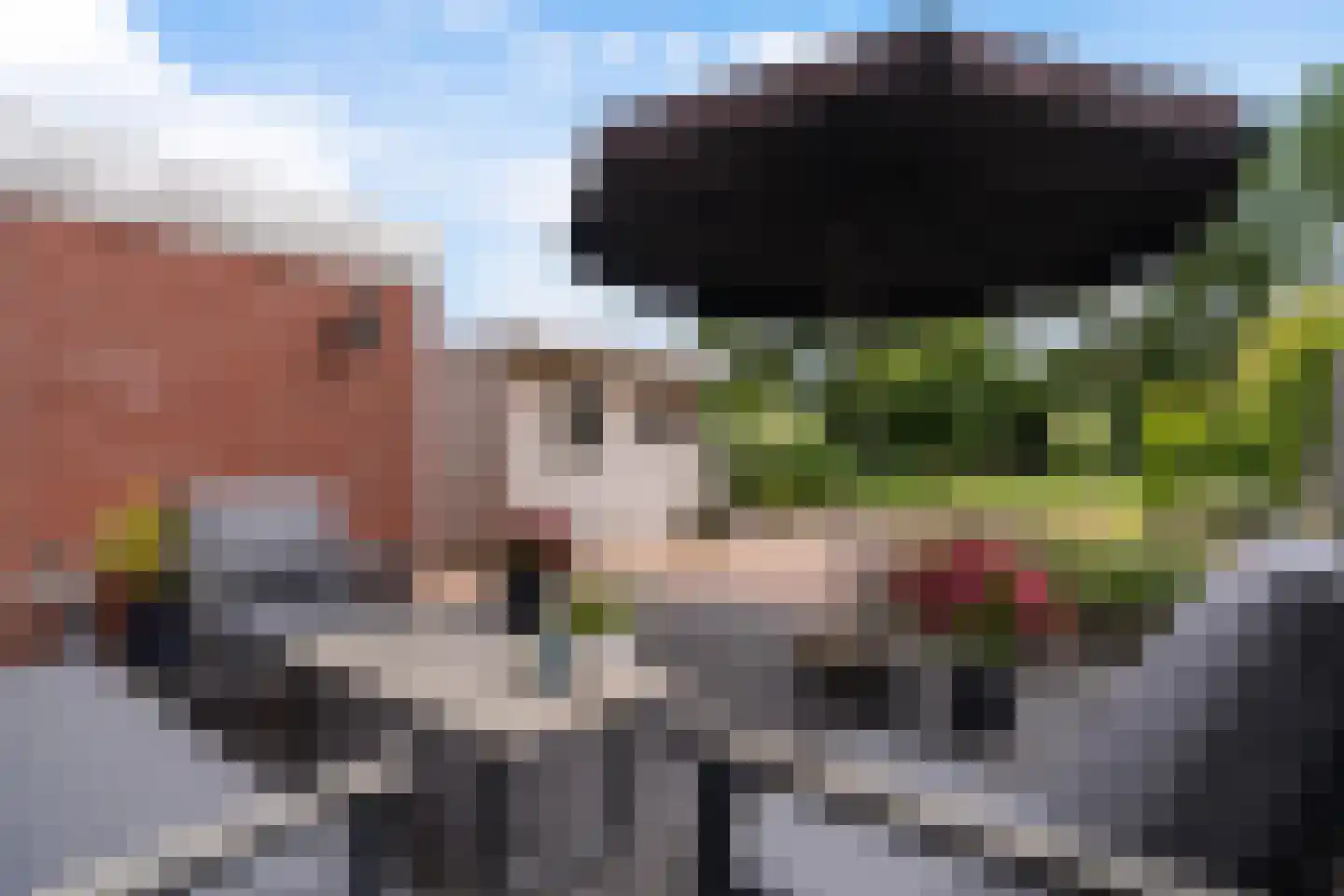 de Pleats 42 Goutum thumbnail 27