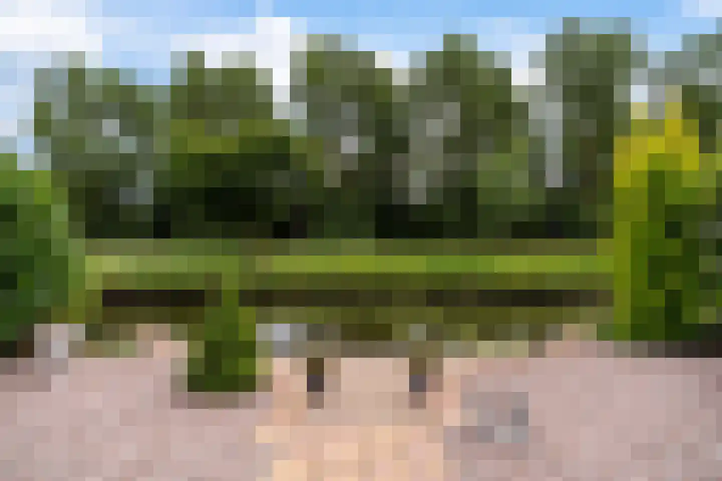 de Pleats 42 Goutum thumbnail 30