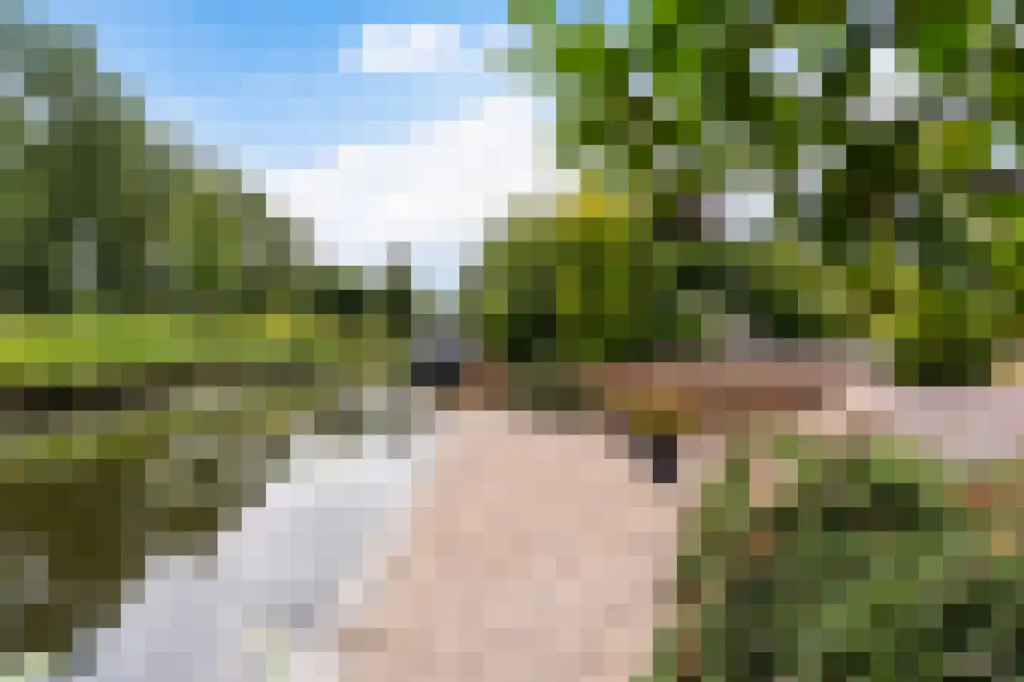 de Pleats 42 Goutum thumbnail 31
