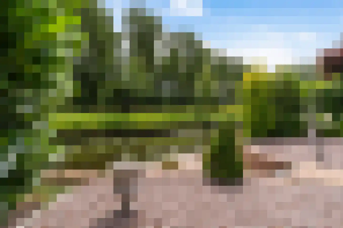 de Pleats 42 Goutum thumbnail 36