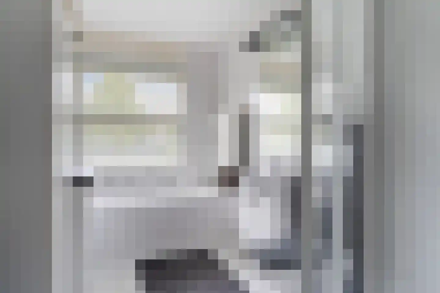 de Pleats 42 Goutum thumbnail 5