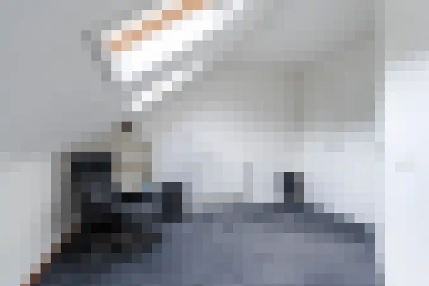 de Pleats 42 Goutum thumbnail 51