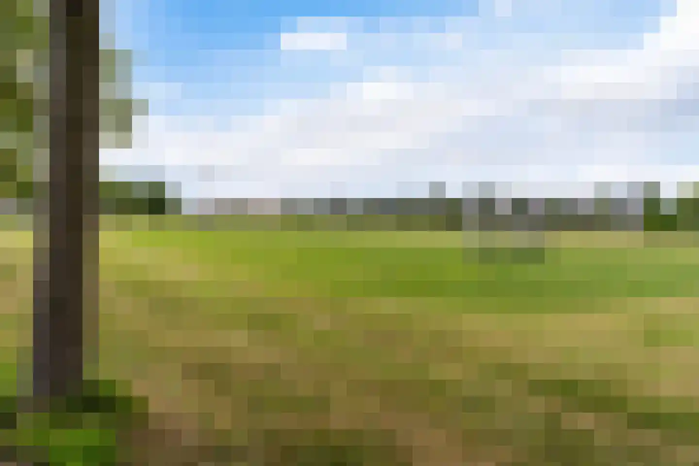 de Pleats 42 Goutum thumbnail 53