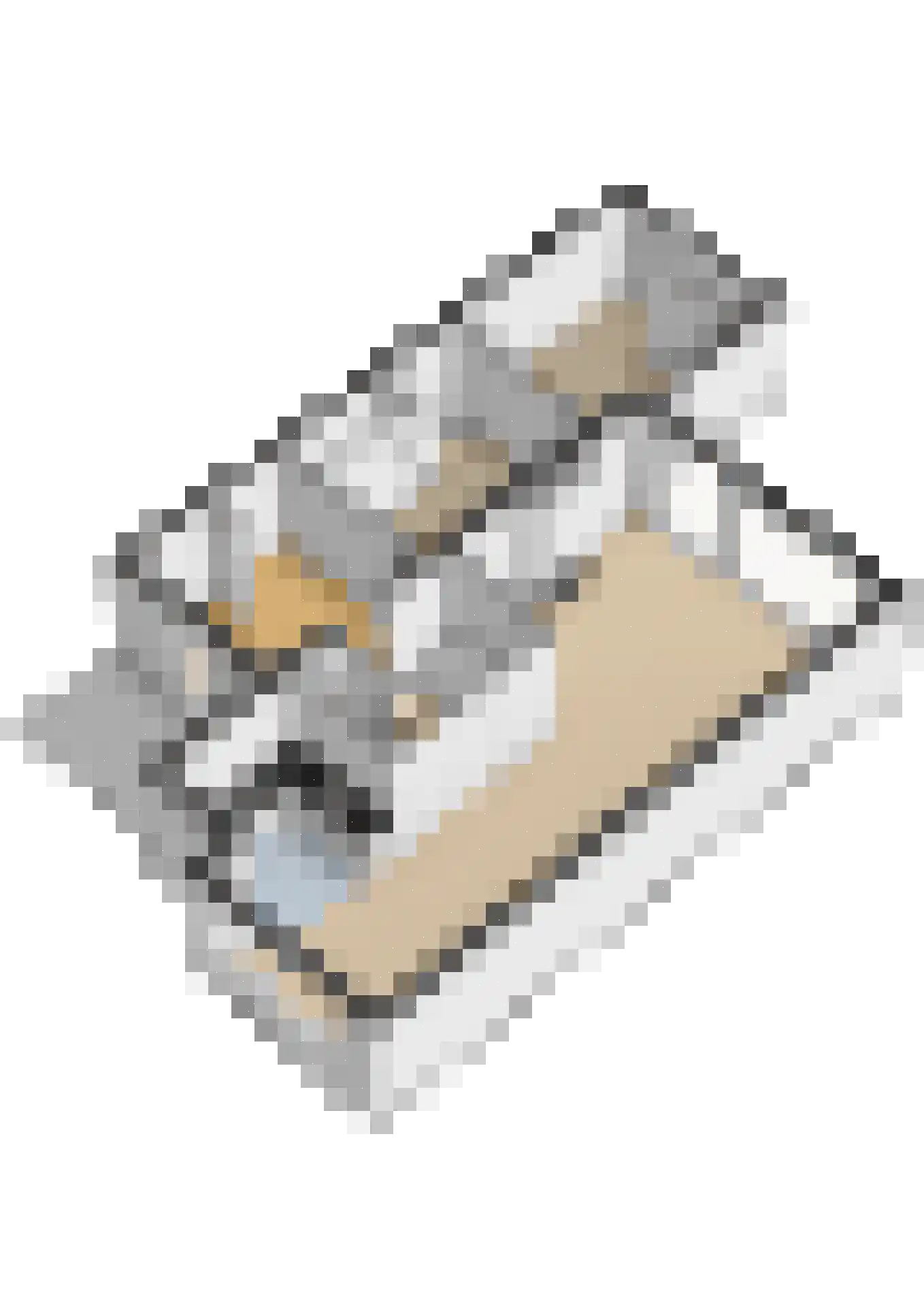 de Pleats 42 Goutum thumbnail 55