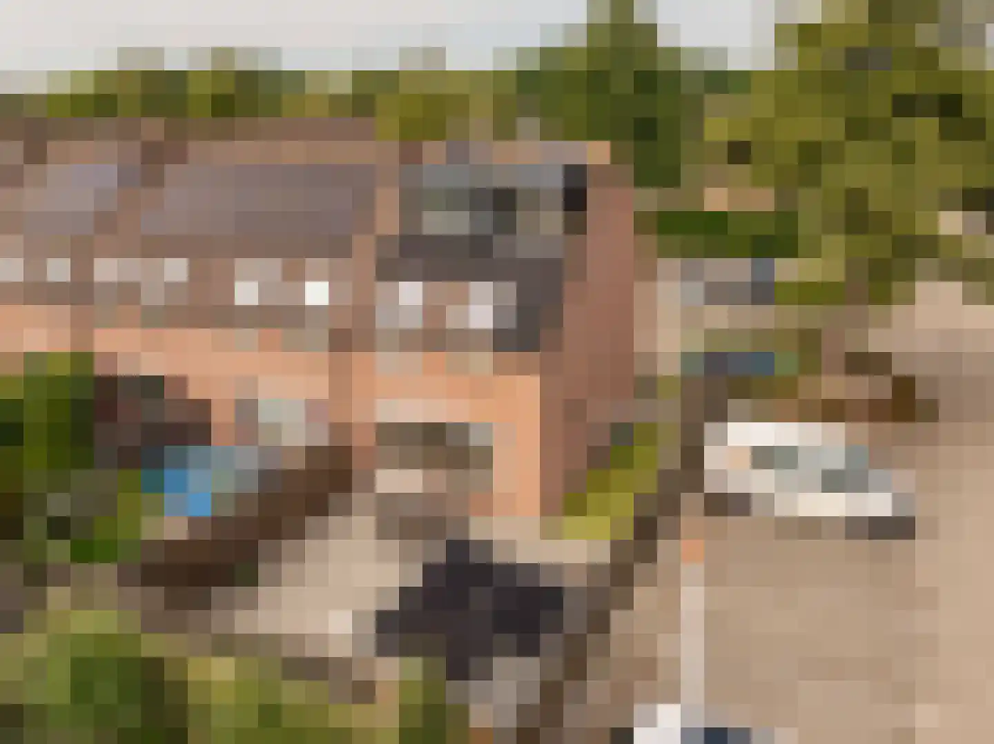 De Plecht 42 Hoogeveen thumbnail 34