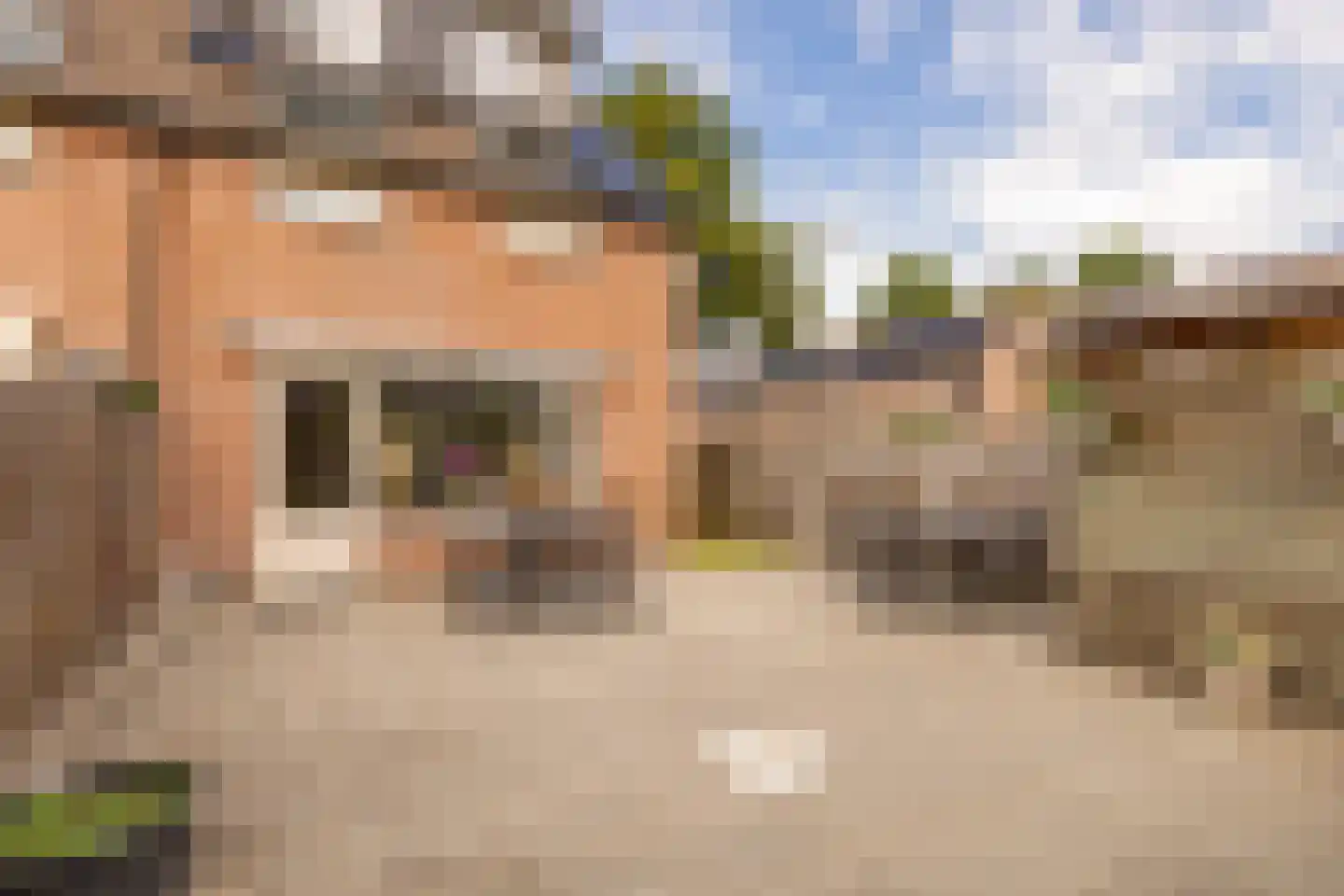De Plecht 42 Hoogeveen thumbnail 37