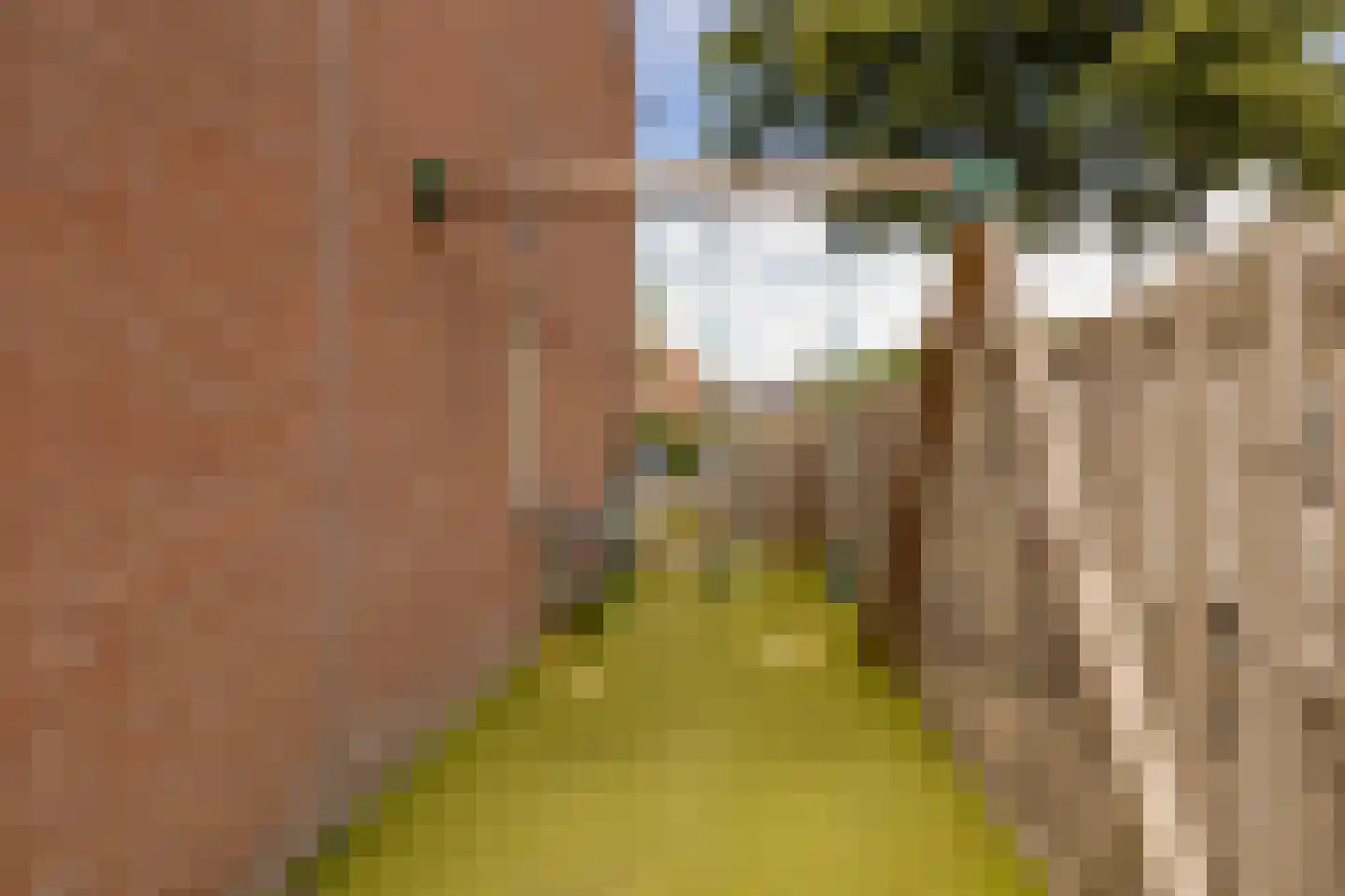 De Plecht 42 Hoogeveen thumbnail 38