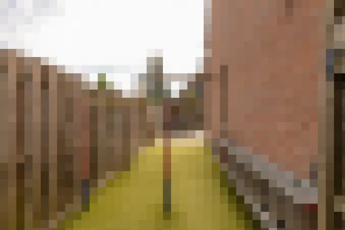De Plecht 42 Hoogeveen thumbnail 39