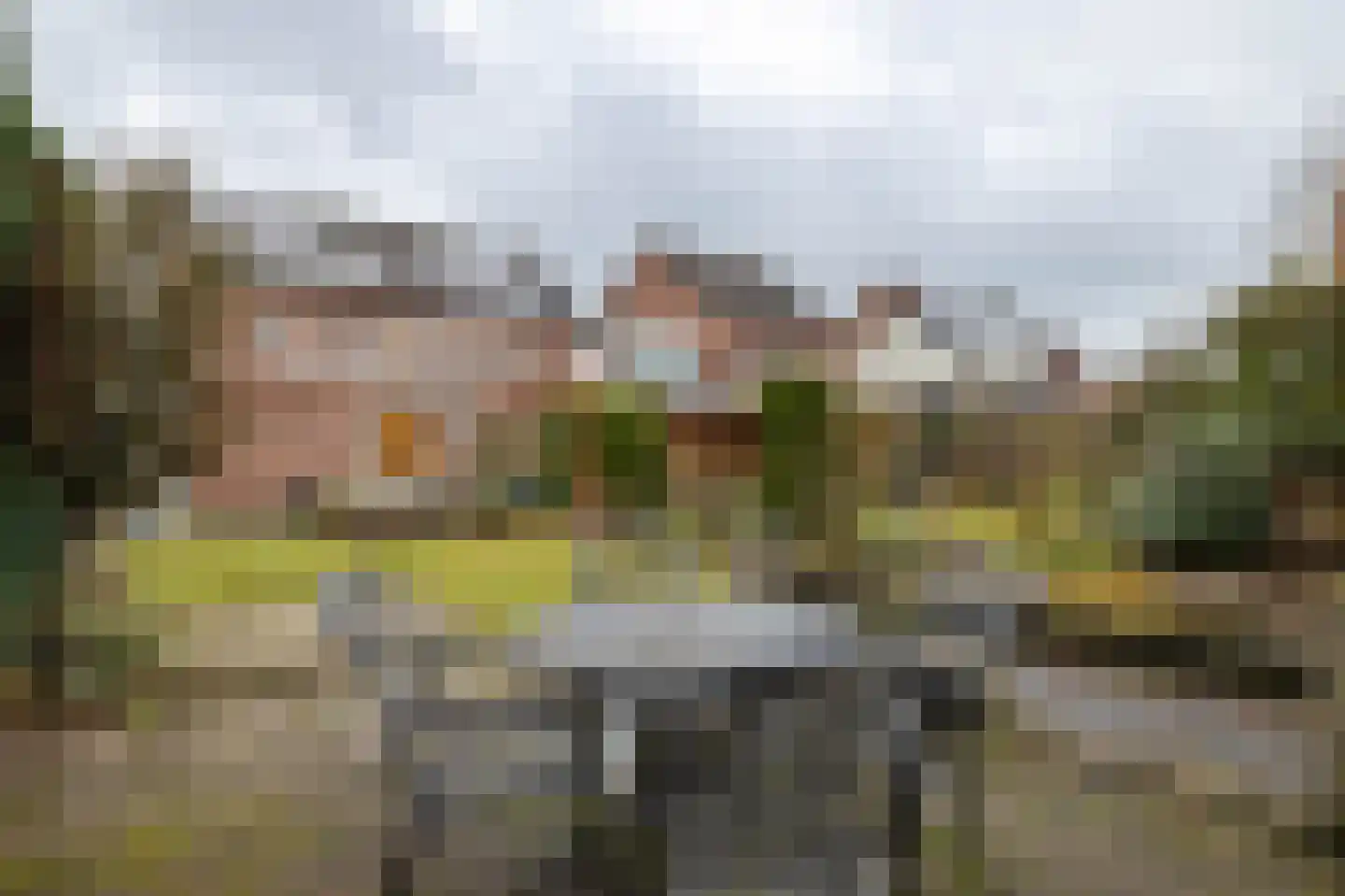 De Plevier 114 Almelo thumbnail 25