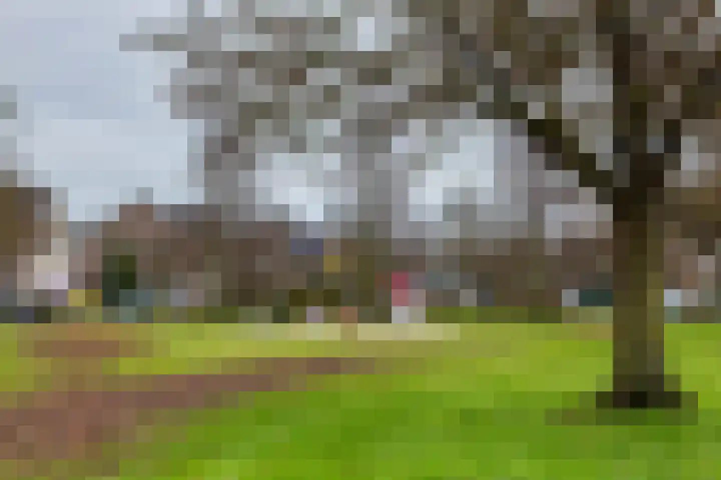 De Plevier 114 Almelo thumbnail 30