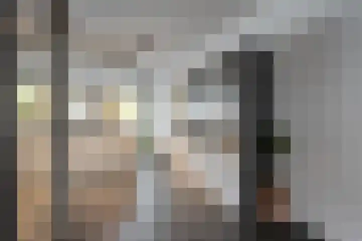 De Plevier 158 Almelo thumbnail 11