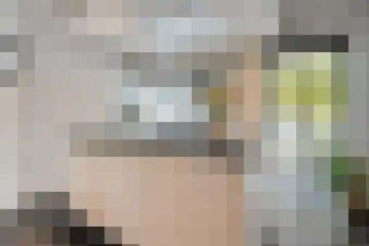De Plevier 158 Almelo thumbnail 13