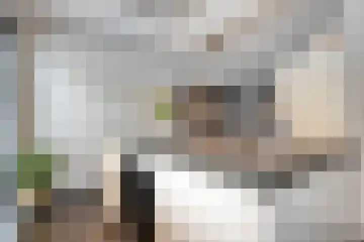 De Plevier 158 Almelo thumbnail 14