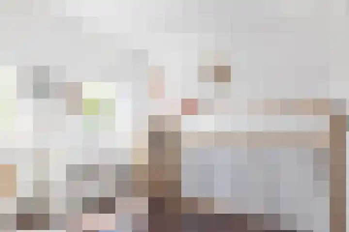 De Plevier 158 Almelo thumbnail 19