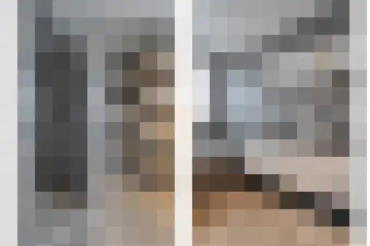 De Plevier 158 Almelo thumbnail 23