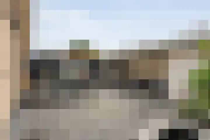 De Plevier 158 Almelo thumbnail 28